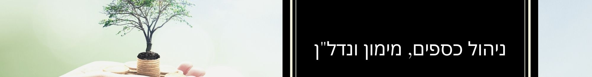 ניהול כספים ופיננסי