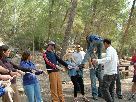 אימון מנהלים בכירים או צעירים